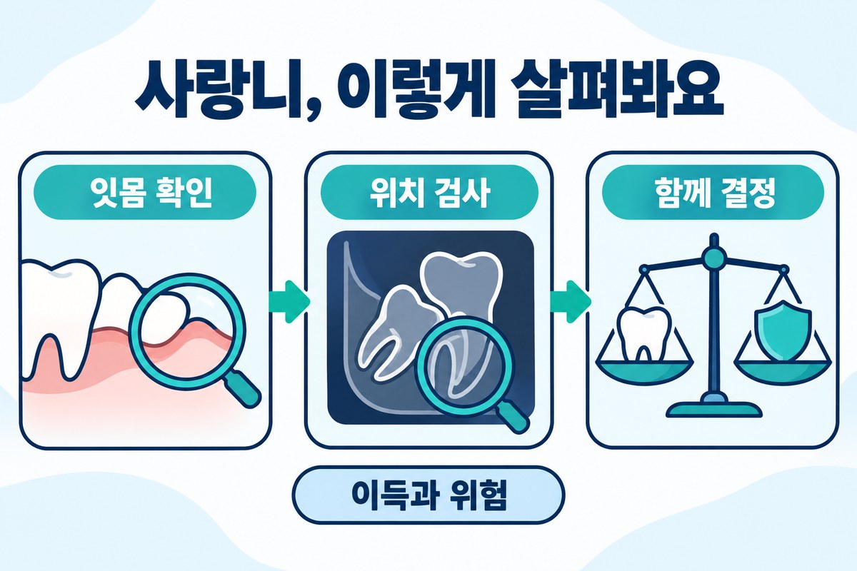 사랑니, 이렇게 살펴봐요라는 제목으로 잇몸 확인과 위치 검사 후 이득과 위험을 함께 판단하는 과정을 보여 주는 도식입니다.